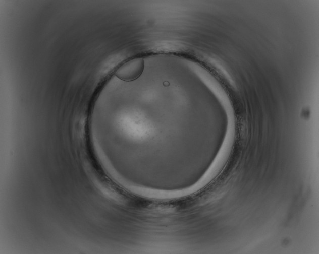 X0000101120491200807172003