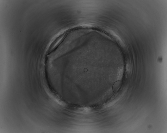 X0000101120492200807172003