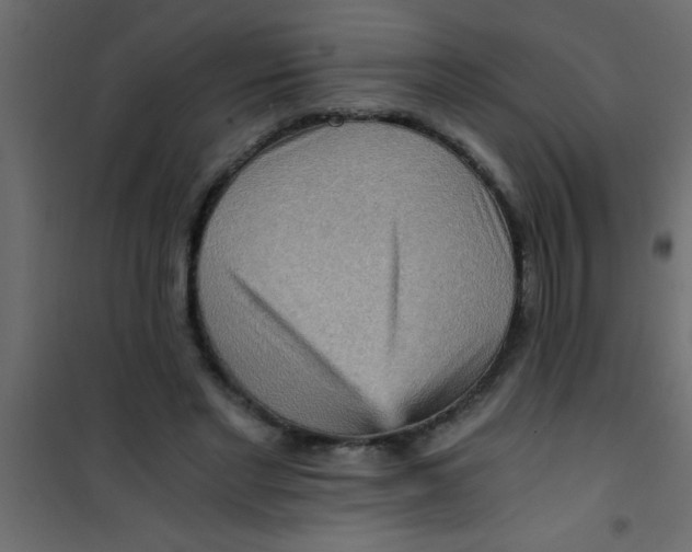 X0000101120493200807172003