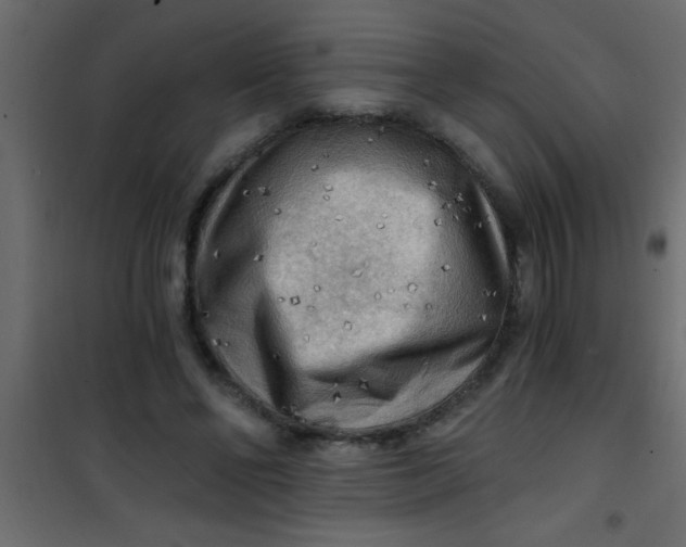 X0000101120494200807172003