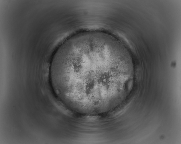 X0000101120495200807172003