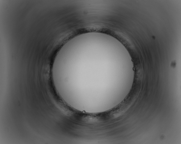 X0000101120498200807172003