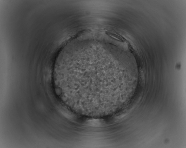 X0000101120499200807172003