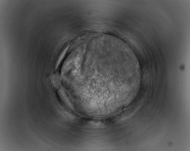 X0000101120502200807172003