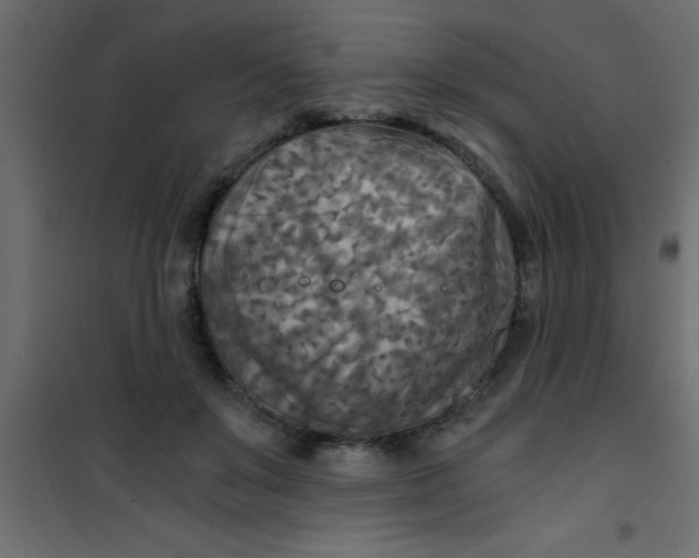X0000101120503200807172003