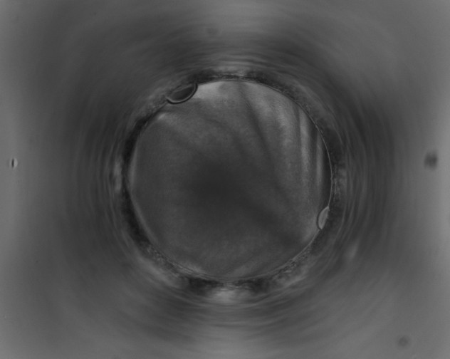 X0000101120504200807172003