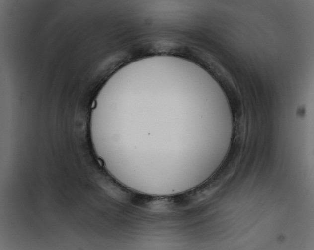 X0000101120505200807172003