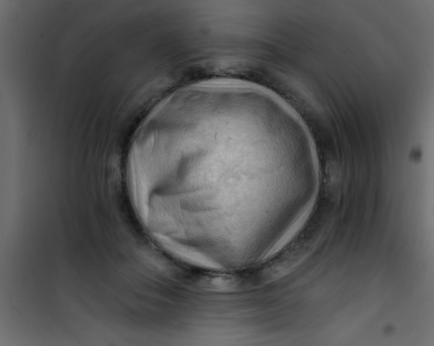 X0000101120506200807172003