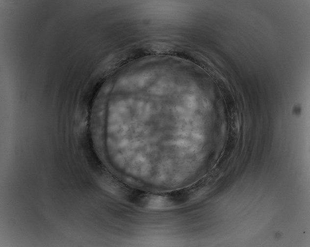 X0000101120507200807172003