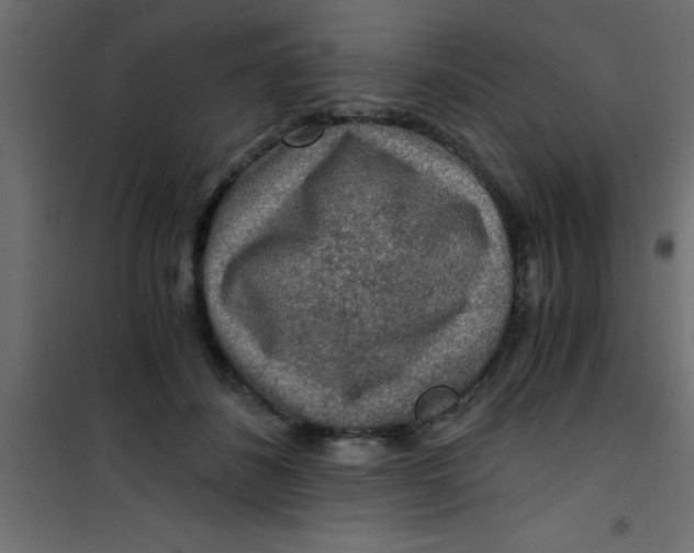 X0000101120508200807172003