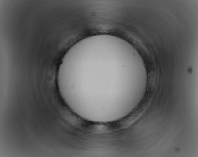 X0000101120509200807172003