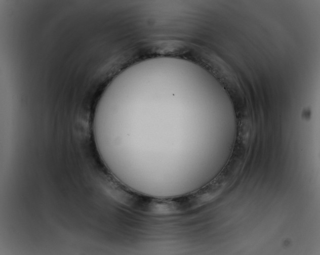 X0000101120510200807172003
