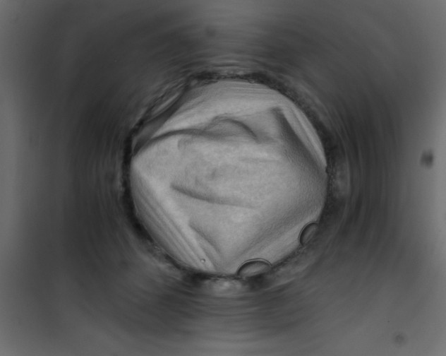X0000101120512200807172003