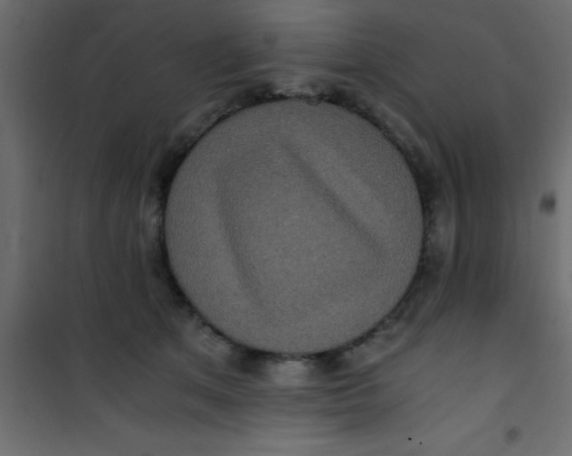 X0000101120513200807172003