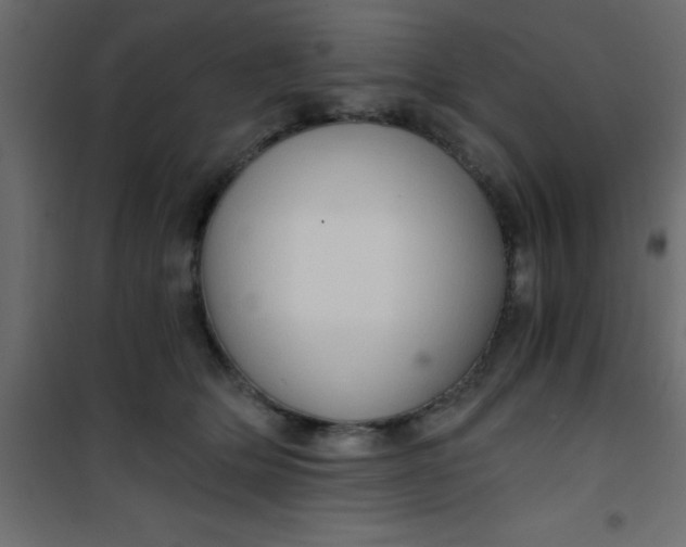 X0000101120514200807172003