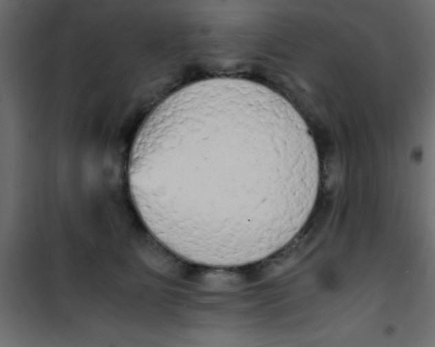 X0000101120515200807172003