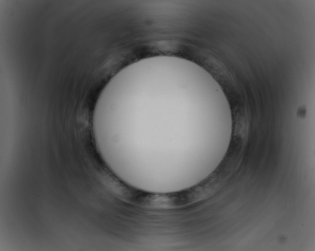 X0000101120518200807172003