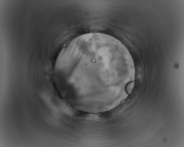 X0000101120519200807172003