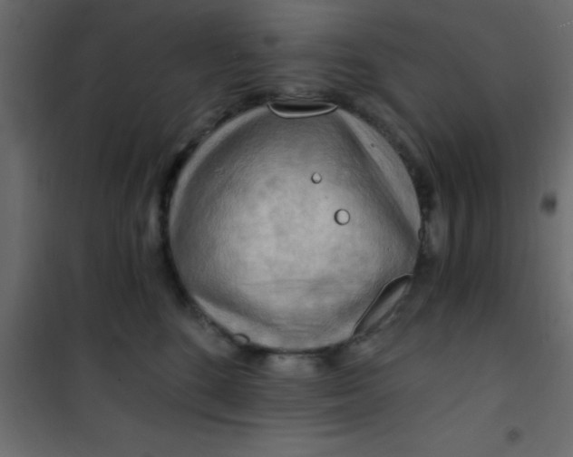 X0000101120520200807172003