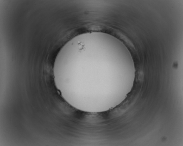 X0000101120521200807172003