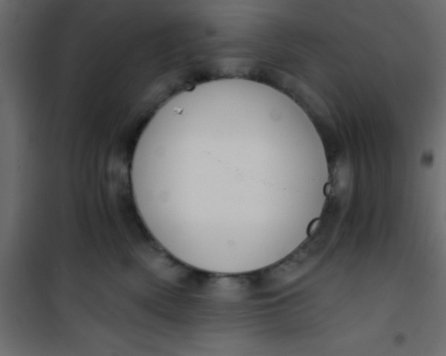X0000101120522200807172003