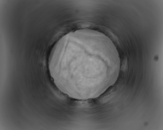 X0000101120524200807172003