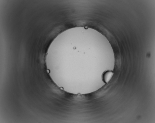 X0000101120525200807172003