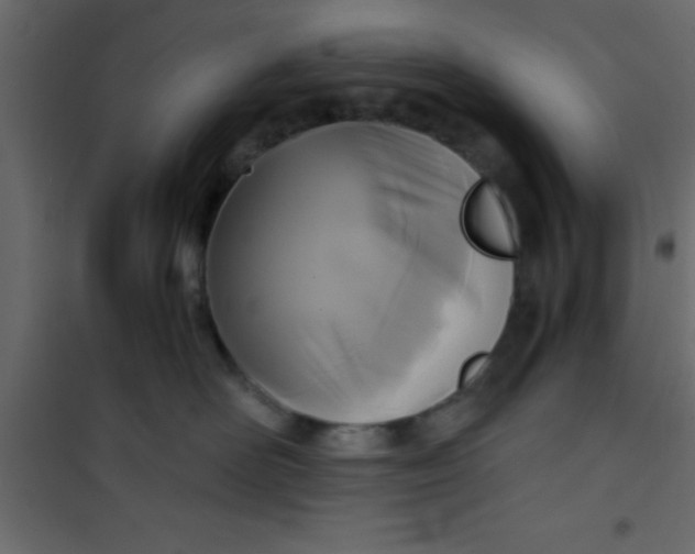 X0000101120526200807172003