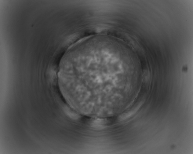X0000101120527200807172003