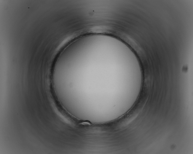X0000101120530200807172002