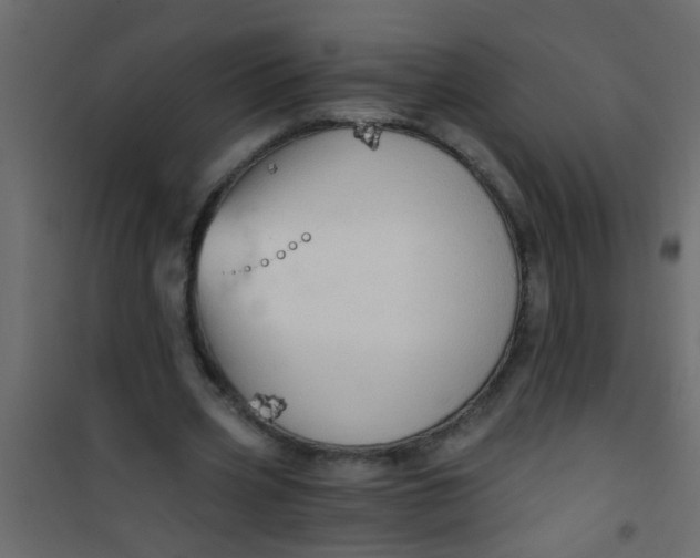X0000101120533200807172002
