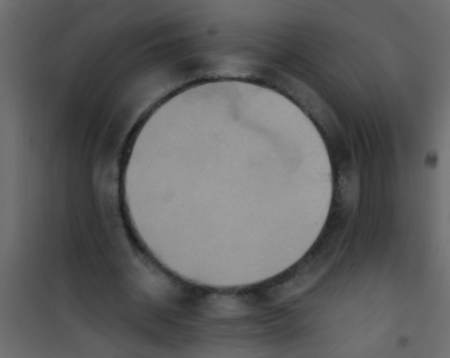 X0000101120534200807172002