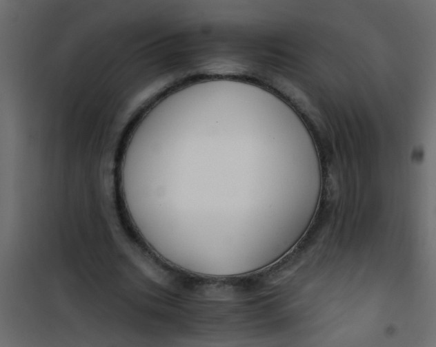 X0000101120535200807172002