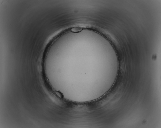 X0000101120536200807172002