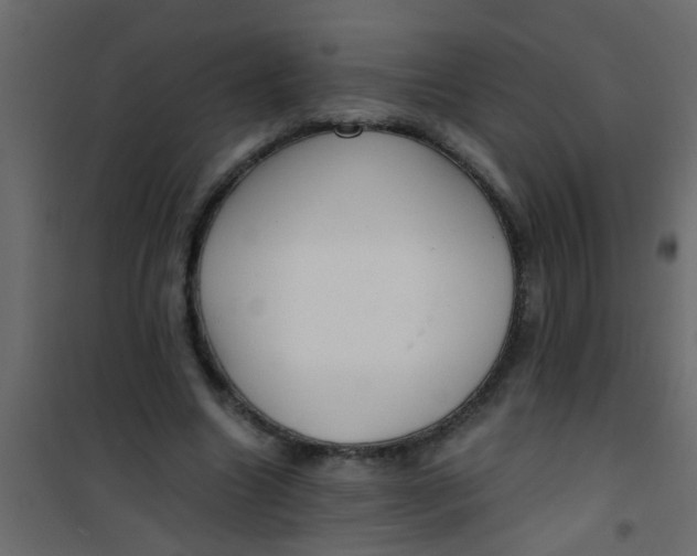 X0000101120538200807172002