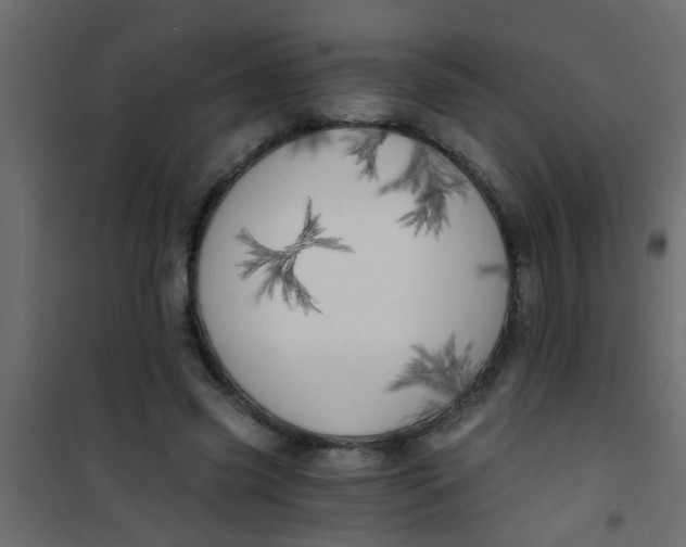 X0000101120541200807172002