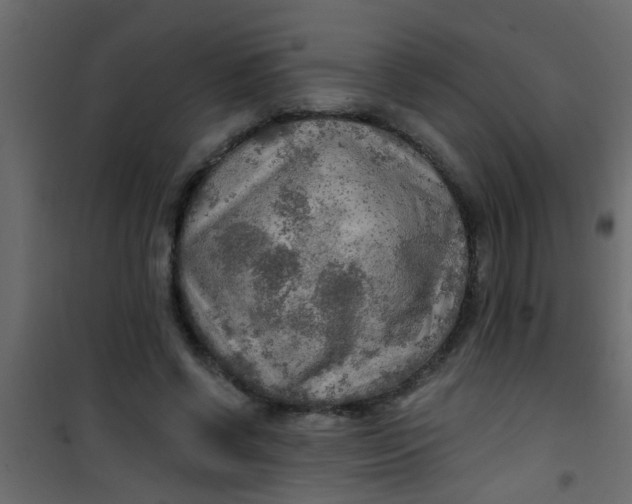 X0000101120542200807172002