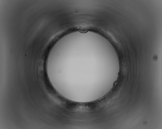 X0000101120543200807172002