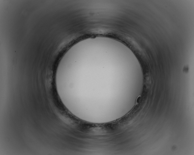 X0000101120544200807172002