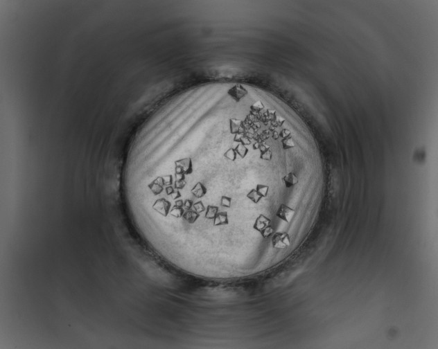 X0000101120545200807172002