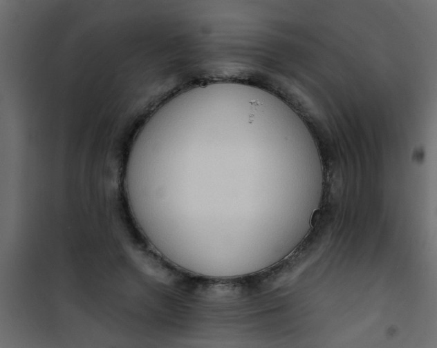 X0000101120546200807172002