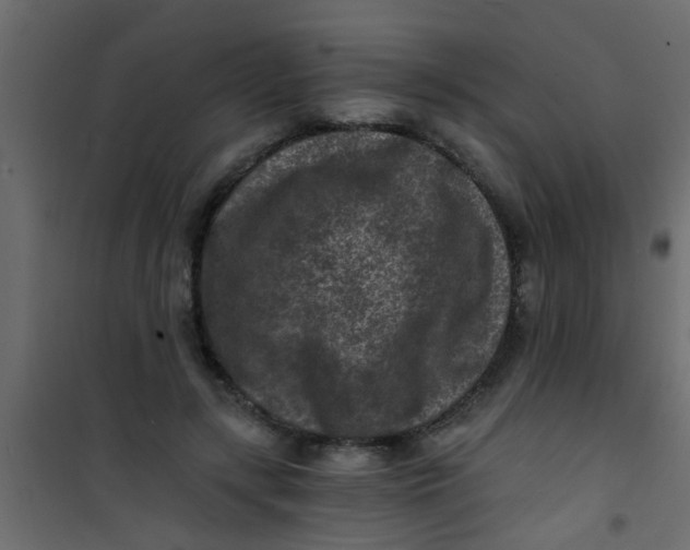 X0000101120547200807172002
