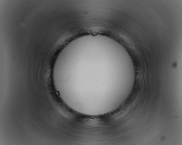 X0000101120548200807172002