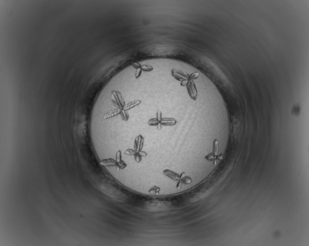 X0000101120549200807172002