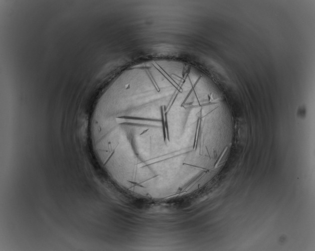 X0000101120550200807172002