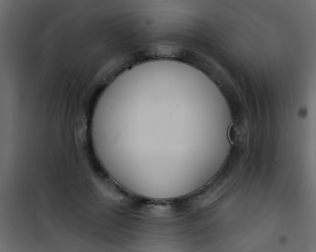 X0000101120552200807172003