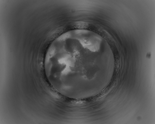 X0000101120553200807172003
