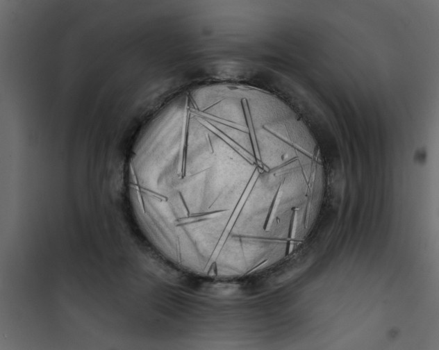 X0000101120554200807172003