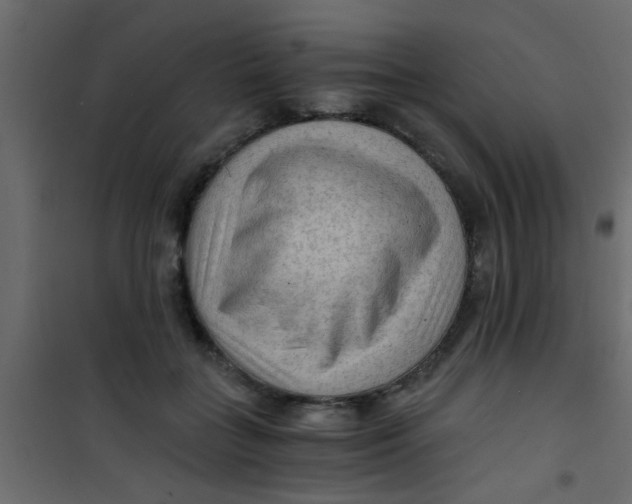 X0000101120555200807172003