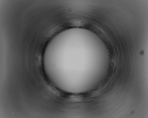 X0000101120556200807172003